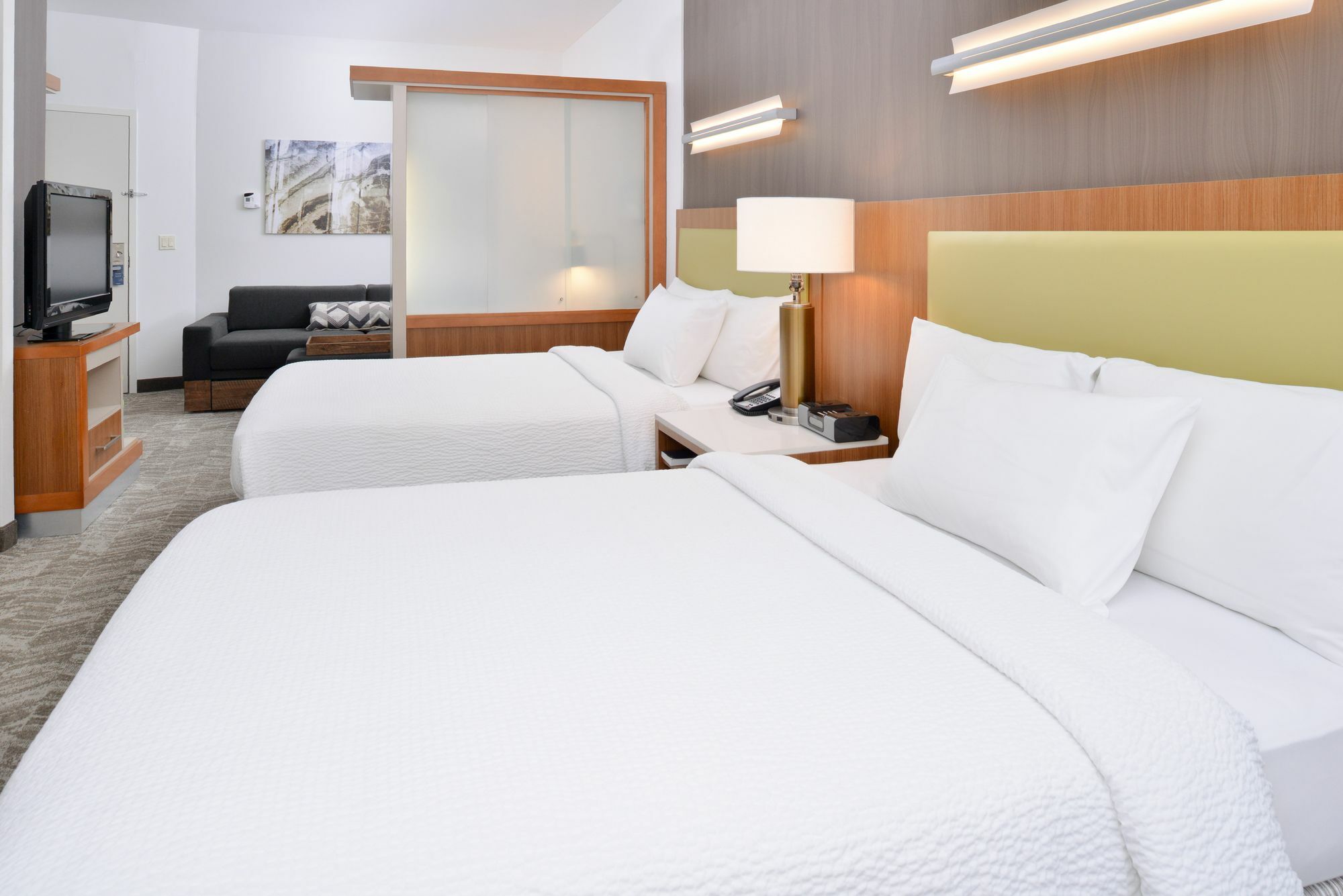Springhill Suites Ashburn Dulles North Екстериор снимка
